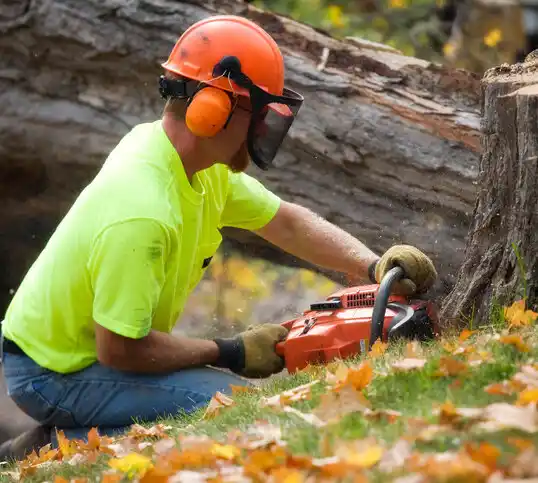 tree services Waldorf